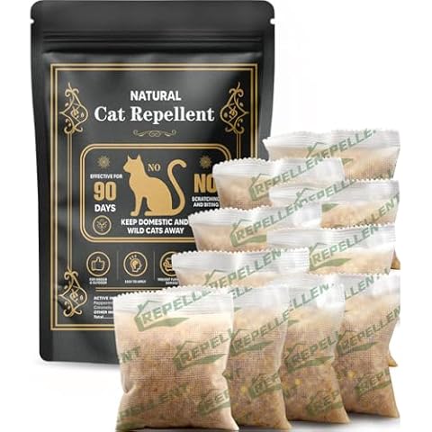 AUDQQM feature image