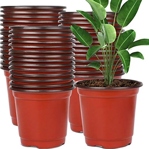 https://us.ftbpic.com/product-amz/augshy-130-packs-6-inches-plastic-plant-nursery-pots-seed/51724StrovL._AC_SR480,480_.jpg