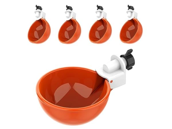 Automatic Chicken Waterers thumbnail