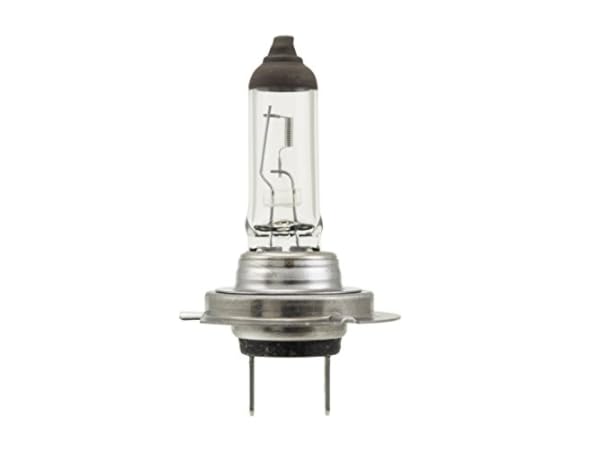 Automobile Special Light Bulbs Thumbnail