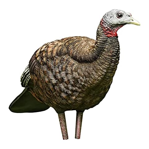 Avian-X thumbnail
