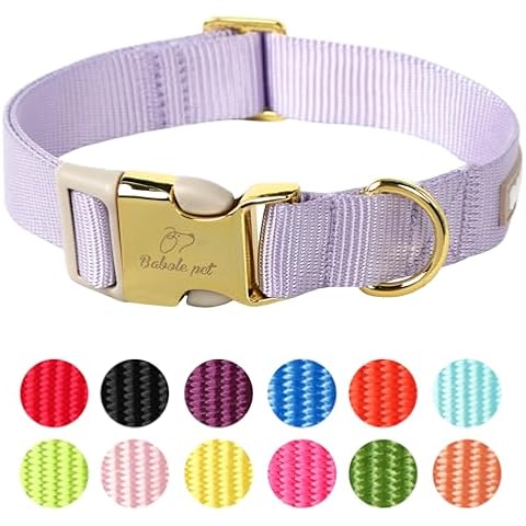 Babole Pet feature image