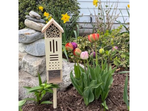 Backyard Insect Hotels Thumbnail