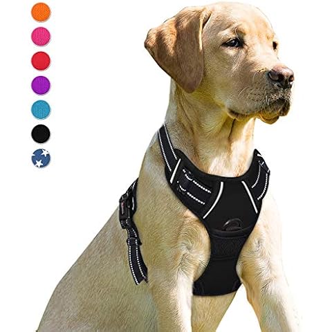 BARKBAY thumbnail