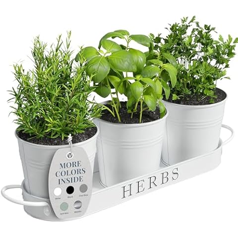 Barnyard Designs thumbnail