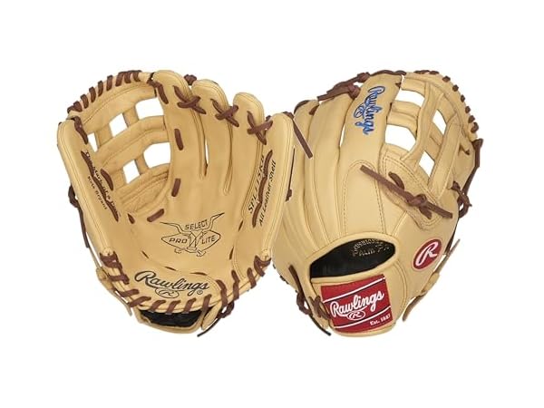 Baseball Infielder's Mitts Thumbnail