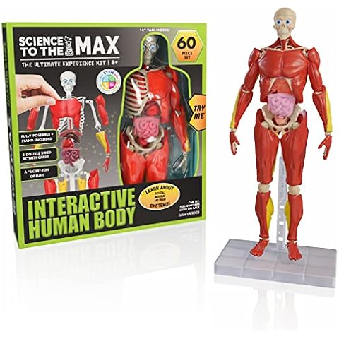 Be Amazing! Toys thumbnail