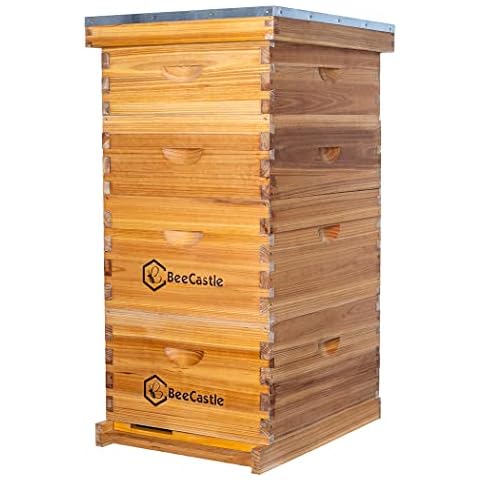 BeeCastle feature image