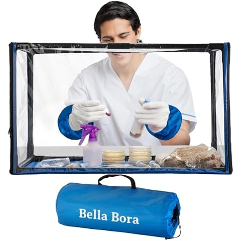 Bella Bora thumbnail