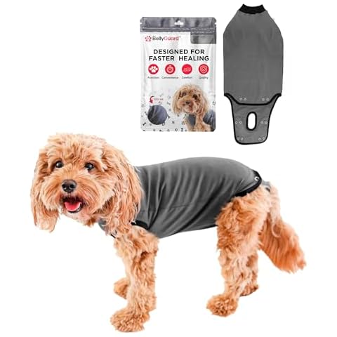 BellyGuard thumbnail