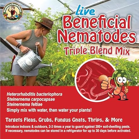 Beneficial Pest Control Insects