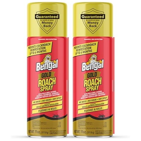 Bengal feature image