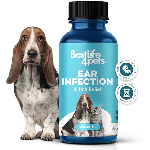 BestLife4Pets thumbnail