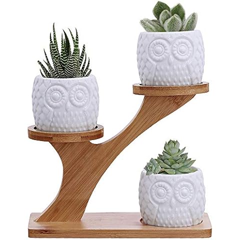 BESTTOYHOME feature image