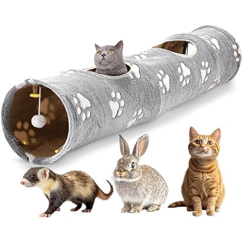 BETOPET thumbnail