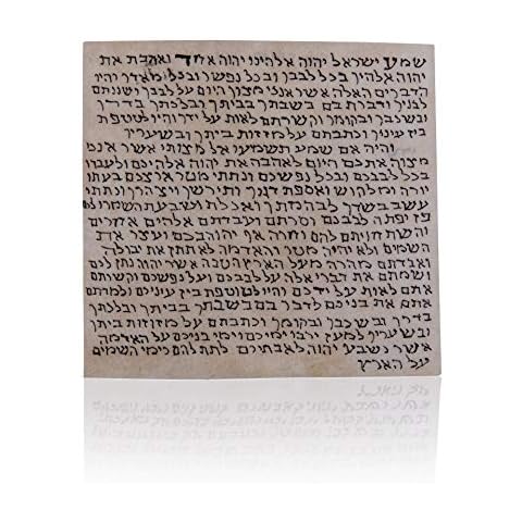 Biblical World feature image