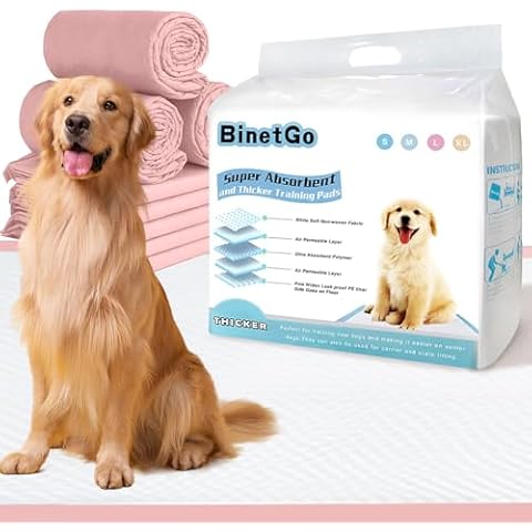 BinetGo thumbnail