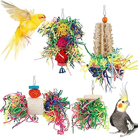 Bird Toys