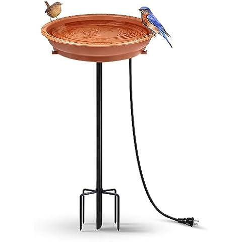 BIRD WISH feature image