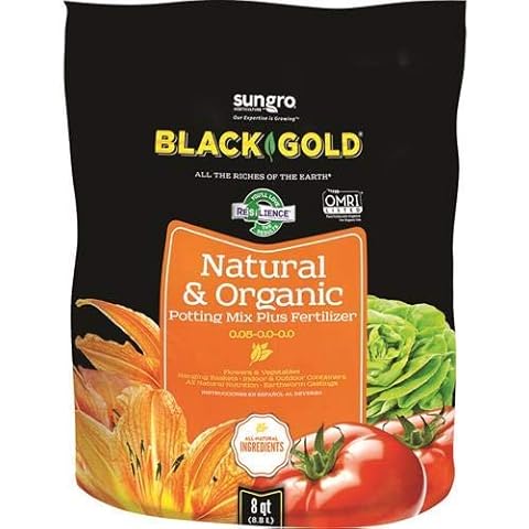 Black Gold thumbnail