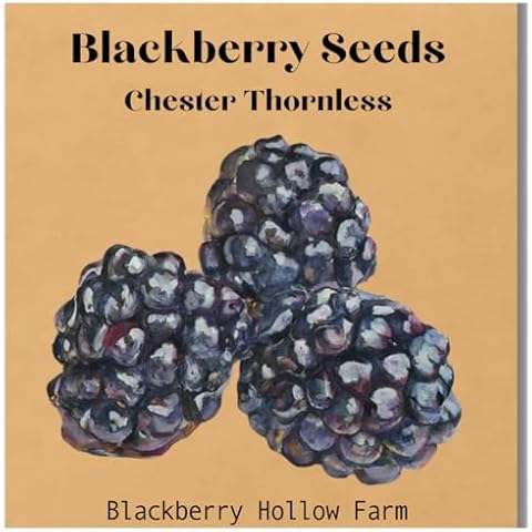 Blackberry Hollow Farm thumbnail