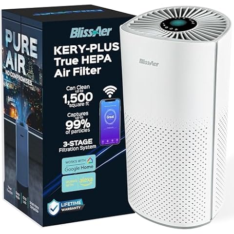 BlissAer thumbnail