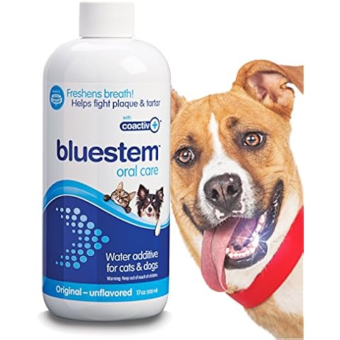 Bluestem thumbnail