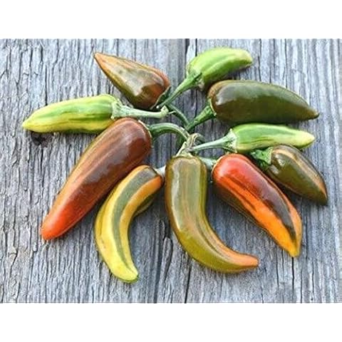 BmoreSpicy.com thumbnail