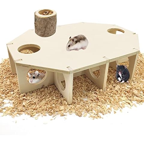 The 10 Best Habitat Décor for Gerbil of 2024 (Reviews) - FindThisBest