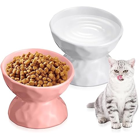 Dog Bowl And Bowl Elevated Cat Bowl, 15 Degree Sloped Ceramic For Small  Dogs With Iron Stand, 2-in-1 Elevated Food And Water Bowls For Dogs, Neck  Reli