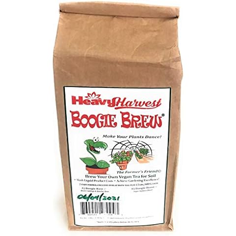 Boogie Brew thumbnail