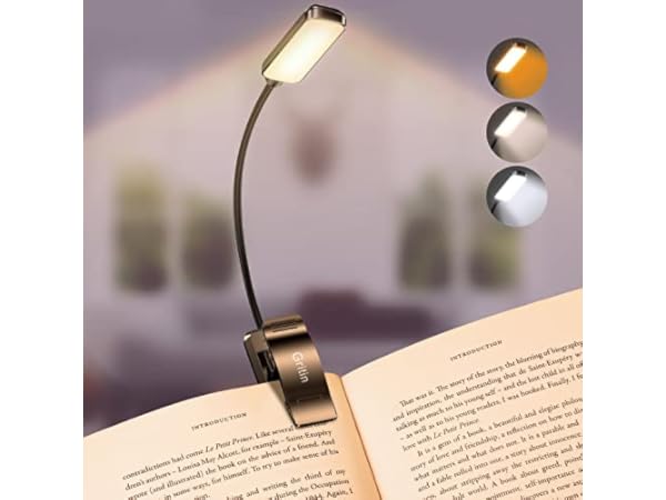 Book Lights Thumbnail