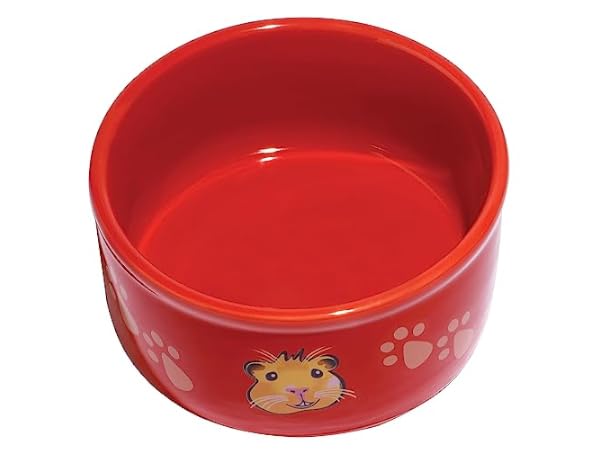 View of The 10 Best Bowls for Guinea Pig of 2024 (Reviews) - FindThisBest
