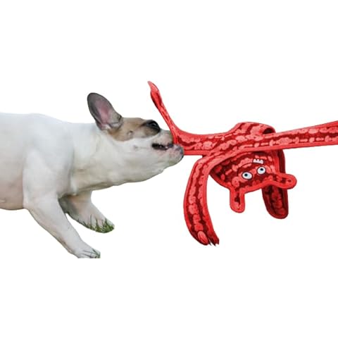 BoxDog thumbnail