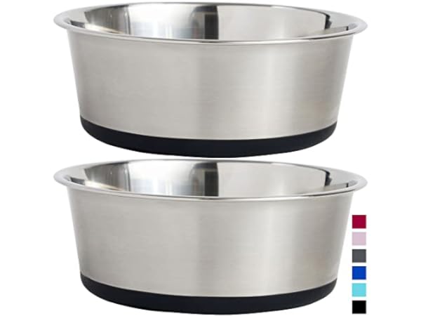 https://us.ftbpic.com/product-amz/bpa-free-dog-bowls/41cbizSe1-L.__CR0,0,600,450.jpg