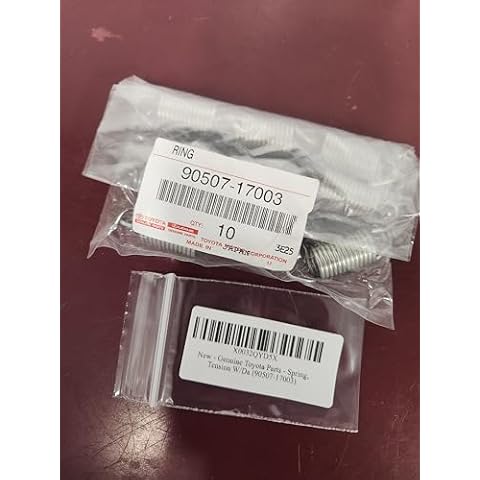 Brake Support Springs