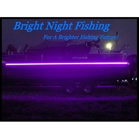 Bright Night Fishing thumbnail