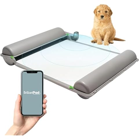 BrilliantPad thumbnail