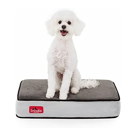 PETLAVISH™ XL Orthopedic Memory Foam Dog/Cat Bed - Soft Calming