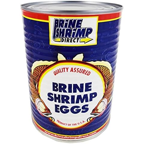 Brine Shrimp Direct thumbnail