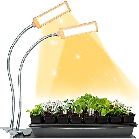 Brite Labs thumbnail