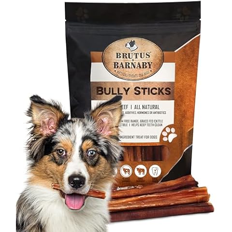 BRUTUS & BARNABY thumbnail