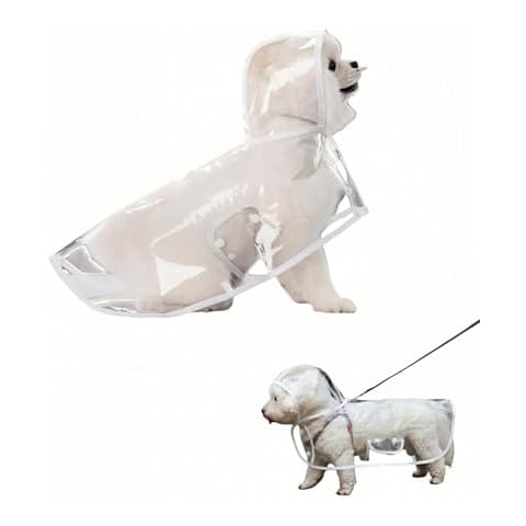 BUBBLE-FLY thumbnail