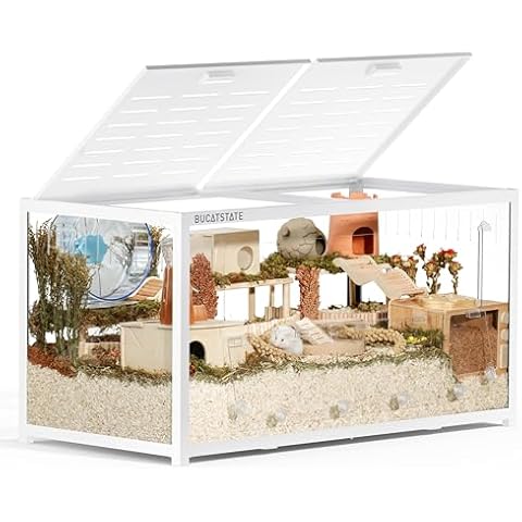 BUCATSTATE thumbnail