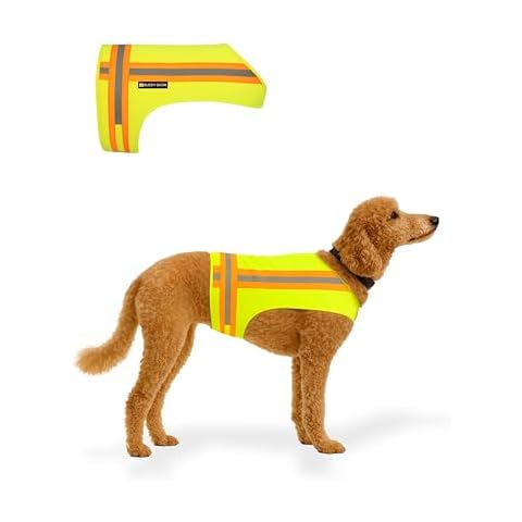 BUDDY GLOW thumbnail