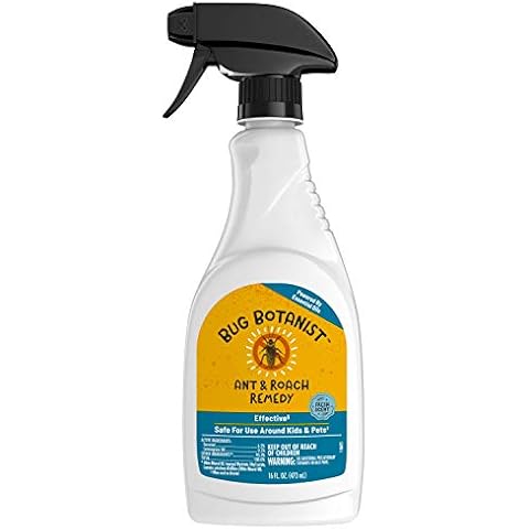 BUG BOTANIST feature image