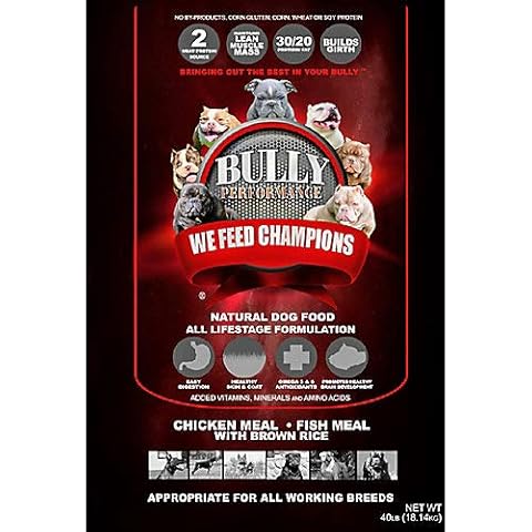 Bully Performance Audio thumbnail