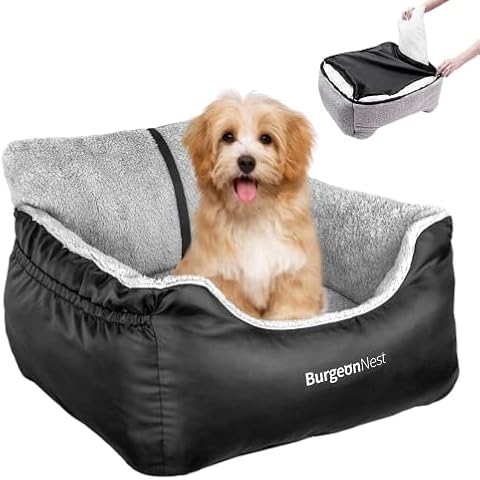 BurgeonNest thumbnail