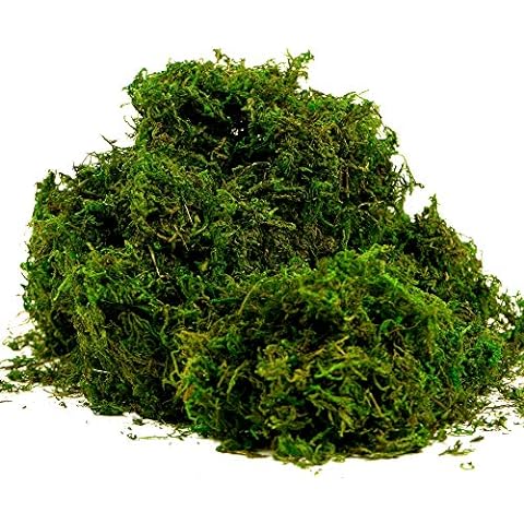  Alphatool 35 OZ Large Capacity Fake Moss for Potted