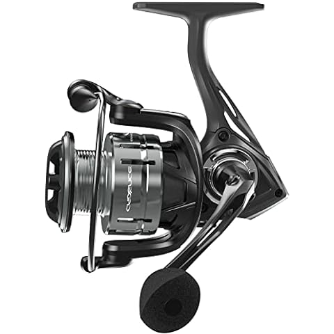 The 10 Best Cadence Fishing Reels of 2024 - FindThisBest